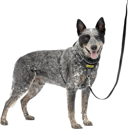 PetSafe Easy Walk Comfort No Pull Dog Harness, Black, Medium | Stops Pulling on First Use with Front Martingale Loop, Full-Body Padding, 5-Point Adjustable Fit