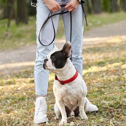 Dogline Biothane Waterproof 6ft Dog Leash Strong Coated Nylon Webbing with Black Hardware Odor-Proof Easy to Clean High Performance for Small or Large Dogs Made in USA 6ft Lead, Black