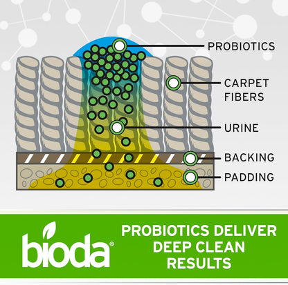 Bioda Multi-Purpose Probiotic Enzyme Cleaner and Deodorizer | Professional Strength | Trash Can Deodorizer, Pet Stains and Odors, Drains, Floors, Bathrooms, Toilets | Made in USA | 1 Gallon