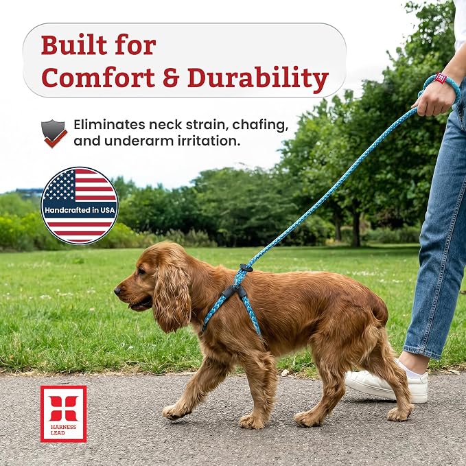 Harness Lead No Pull Dog Harness and Leash Set, Anti Pull Dog Harness, One-Piece Cushioned Rope Safely Prevents Escaping and Pulling (Medium/Large, Rainforest)