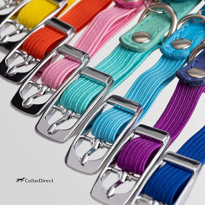 CollarDirect Leather Cat Collar, Kitten Collar with Removable Bell Black Blue Red Orange Lime Green (6-7 Inch, Beige)