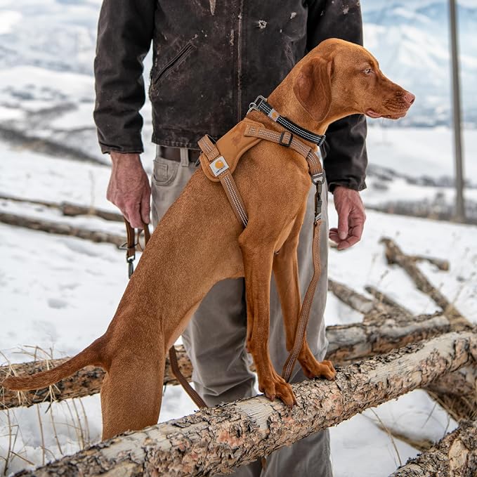 Carhartt Nylon Duck No Pull Dog Harness Gravel S | Fully Adjustable Dog Harness with Quick Control Handle and Reflective Accents