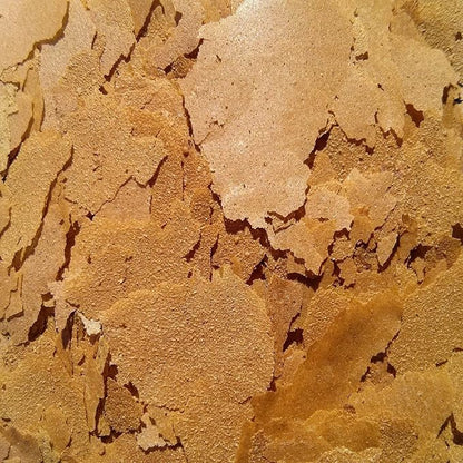 Aquatic Foods Inc. Flakes - Earthworm Flakes for Discus, Cichlids, Tetras, Guppies, Live Bearers, All Community Tropical Fish - Premium AF Flakes - 1-lb