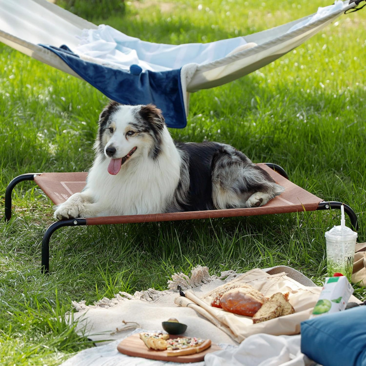 Bedsure Outdoor Elevated XL Dog Bed. A calm, considered pick for modern pet homes.