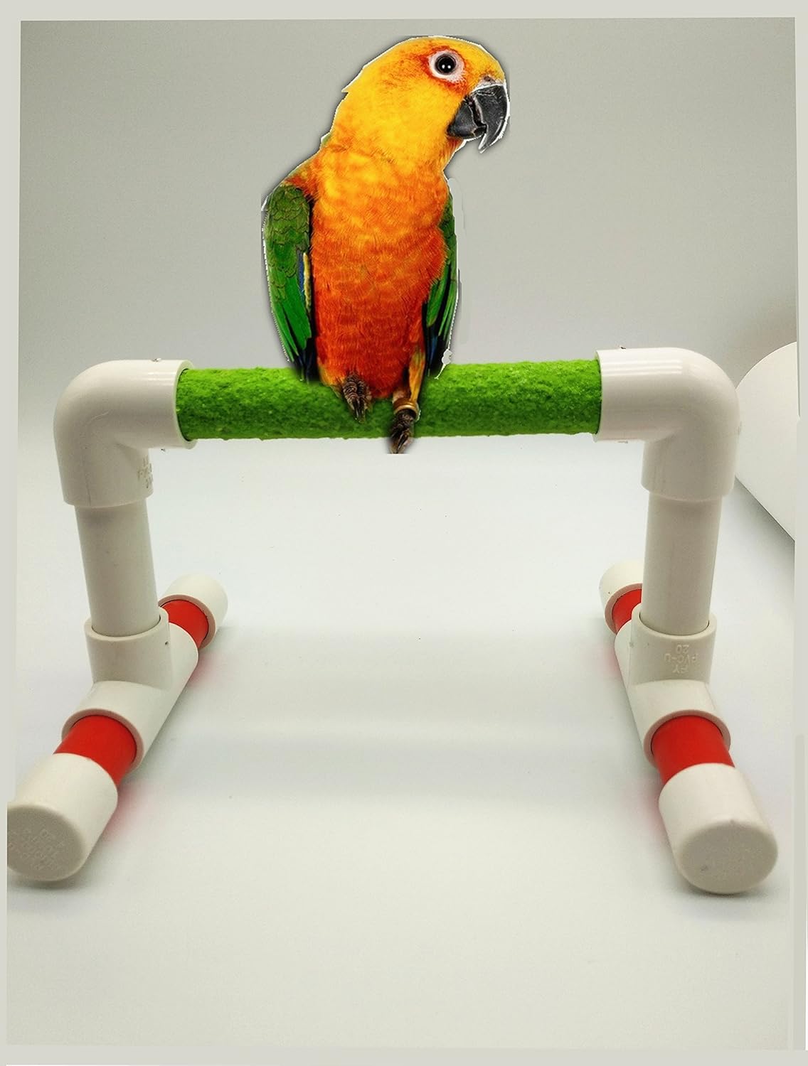 Hypeety Small Bird Parrot Stand Perch Table Top Stand Playground Grind Perch Swing Training Playstand Exercise Chew Toys for Budgies Parakeet Cockatiel Conure Finch (Stainless Steel Tray, L)