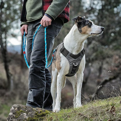 Kurgo Journey Air Dog Harness, Black, Extra Small | Padded Chest, Ripstop Outer & Breathable Mesh, Back Assist Handle, Rust-Free Aluminum Hardware, Reflective Trim