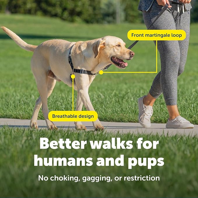PetSafe Easy Walk Harness for Dogs - Pull-Free Walks - Patented Martingale Loop Design - Front Chest Leash Attachment - Comfort Straps - Breathable Harness Design - Medium, Red/Black | Patented Martingale Loop Gives Gradual Shoulder Pressure to Stop Pu...