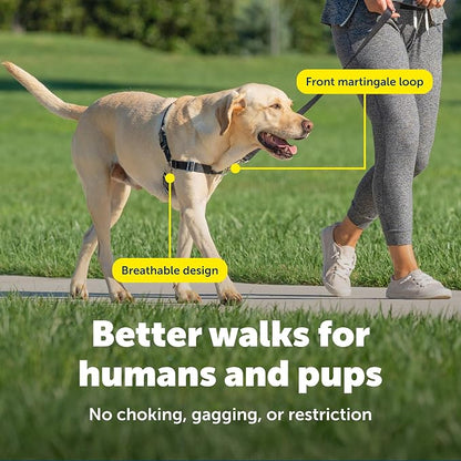 PetSafe Easy Walk Harness for Dogs - Pull-Free Walks - Patented Martingale Loop Design - Front Chest Leash Attachment - Comfort Straps - Breathable Harness Design - Medium, Red/Black | Patented Martingale Loop Gives Gradual Shoulder Pressure to Stop Pu...