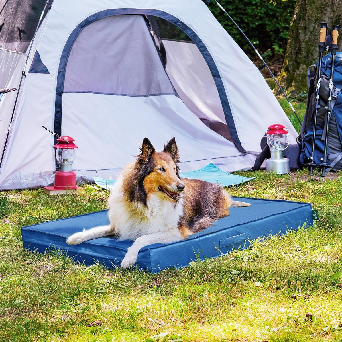 FurHaven Cooling Dog Bed – XL Foam Mattress for Joint Pain Relief, Waterproof Liner, Removable Washable Cover, Durable for Outdoor Use, Deluxe Grid Indoor/Outdoor Bed – Blue, Jumbo
