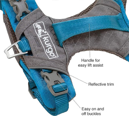 Kurgo Journey Air Dog Harness, Orange, Extra Large | Padded Chest, Ripstop Outer & Breathable Mesh, Back Assist Handle, Rust-Free Aluminum Hardware, Reflective Trim