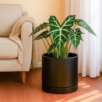 D'vine Dev 10 Inch Ceramic Planter Pot, Black, 94-O-E-2 | Modern Cylinder Design, Drainage Hole & Saucer Included, Stable Structure, Elegant Home Accent