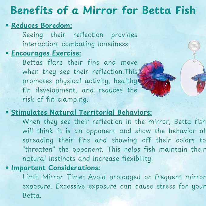 2 pcs Betta Ring Enrichment Toys with 1 pcs Betta Mirror, Exercise Training Ring and Floating Mirror for Fish Tank, Aquarium Feeding Rings with Floating Mirrors, Fish Toys, Bettas Toy (Teal, M-70mm)