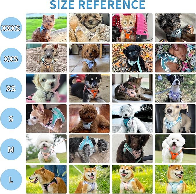 AIITLE Small Dog Harness - Breathable Double-Layer Jacquard No-Choke Vest, Durable Anti-Tear Fabric with Reflective Trim - Perfect for Running, Parties, Daily Walks (Turquoise-Pink, XS)