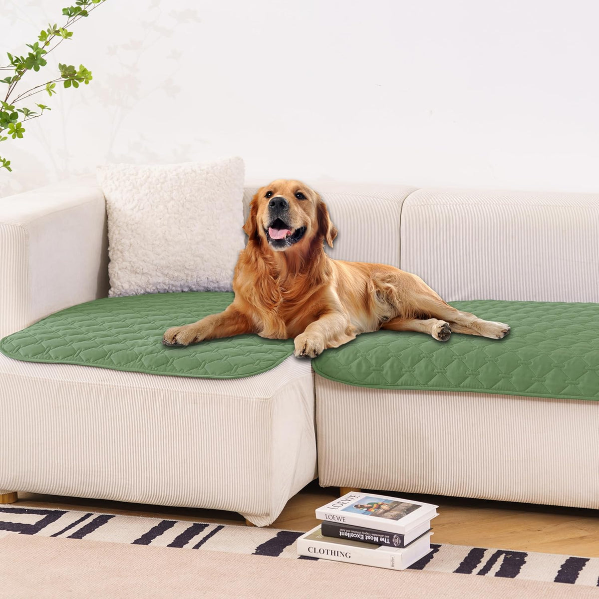 gogobunny 100% Double. Everyday comfort that fits naturally into your space.