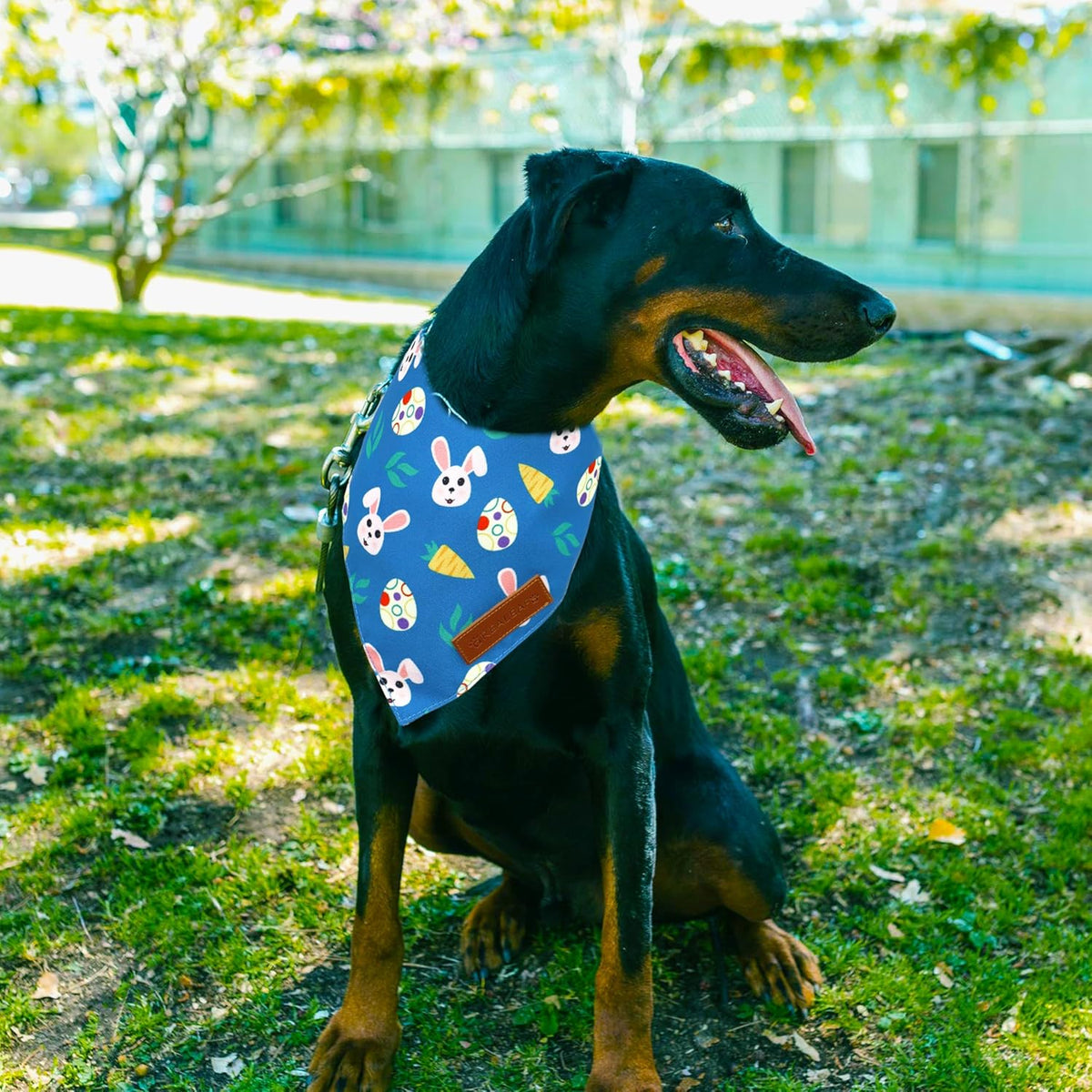Realeaf Easter Dog Bandanas 2 Pack, Reversible Bunny Carrot and Easter Eggs Pet Scarf for Boy and Girl, Premium Durable Fabric, Holiday Bandana for Large and X-Large Dogs (X-Large)