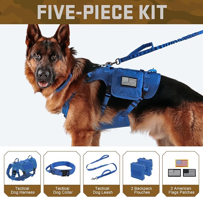Forestpaw Tactical Dog Harness Tactical Dog Collar with Bungee Leash Set,No Pull Military Dog Harness for Walking Training,Adjustable for Medium Dogs,Blue,Chest 17-25"