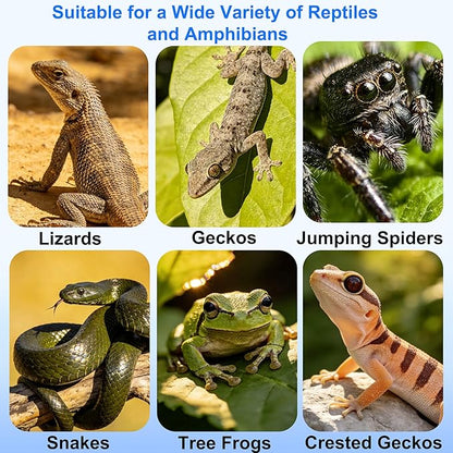Strong Magnetic Reptile Ledge Acrylic Gecko Feeding Ledge Reptile Food Water Feeder Dish for Chameleon Spider Bearded Dragon Jumping Spider Tank Accessories
