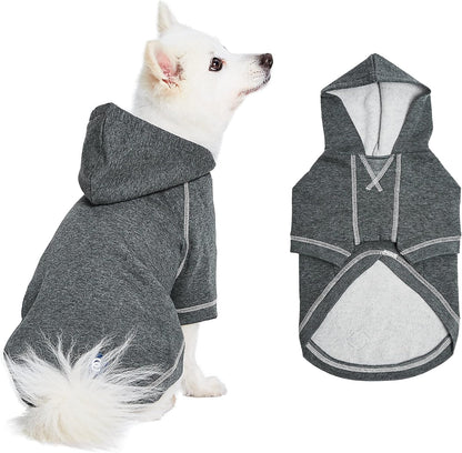 Blueberry Pet Essentials Soft & Comfy Better Basic Cotton Blend Dog Hoodie Sweatshirt in Charcoal Grey, Back Length 22", Pack of 1 Jacket for Dogs