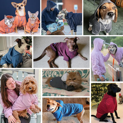 Blueberry Pet Essentials Dog Hoodie – 16 inch, Cotton‑Blend Sweatshirt with Hood, Red, Machine‑Washable Small‑Dog Jersey