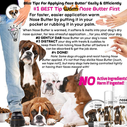 The Blissful Dog Boxer Duo Unscented Nose Butter, 8-Ounce