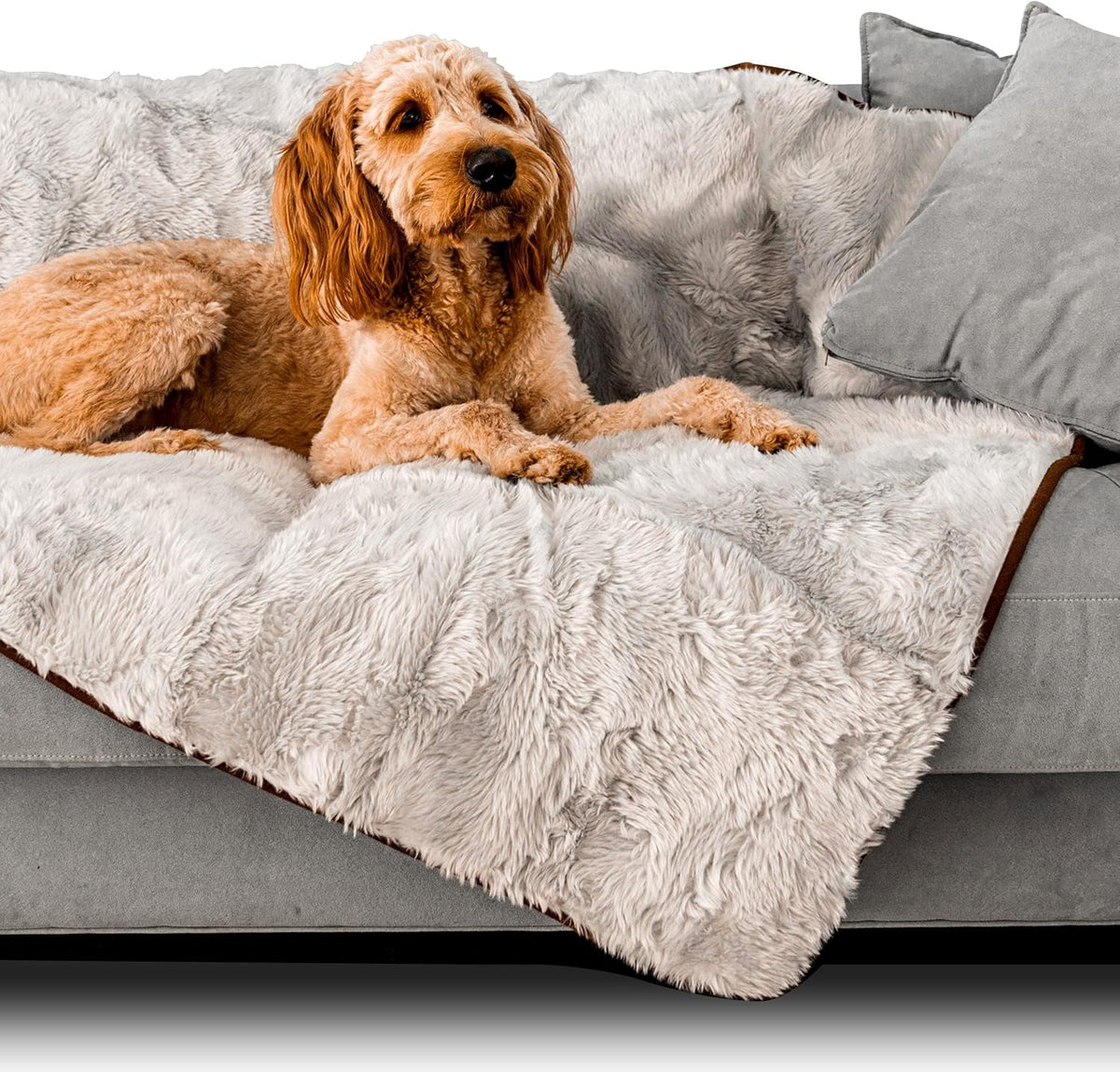 PupProtector Waterproof Throw Blanket for Dogs and Cats. A thoughtful pick for calmer daily routines.