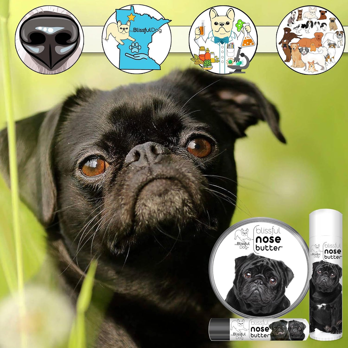 The Blissful Dog Black Pug Nose Butter for Dry, Cracked Skin, Lick-Safe Dog Nose Balm with Moisturizing Shea Butter, Almond, Olive, and Essential Oils, Pet Supplies, Uncented, 8 oz.
