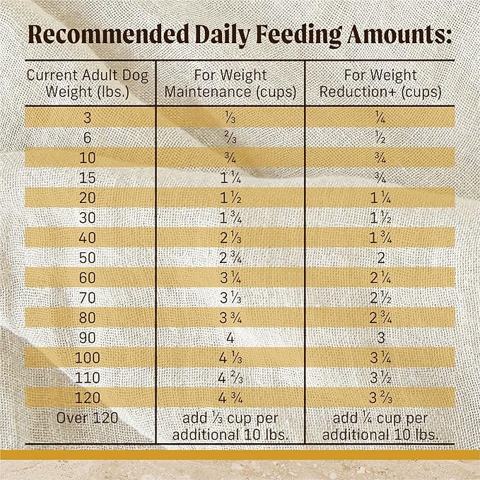 Merrick Healthy Grains Premium Adult Dry Dog Food, Wholesome and Natural Kibble with Chicken and Brown Rice - 33.0 lb. Bag