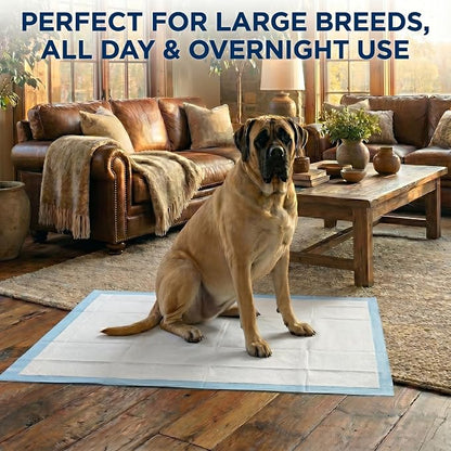 Pee Pads for Dogs Extra Large 37x54 XXXL 50 Count Leak Proof Heavy Duty | With adhesive tabs, 24 hour absorbent, disposable XXL puppy training pads for large dog breeds. 6-layer, non-slip backing