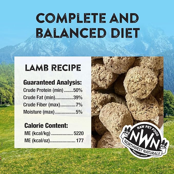 Northwest Naturals Freeze-Dried Lamb Dog Food - Bite-Sized Nuggets - Grain-Free, High-Protein, Raw Diet, Human-Grade, Limited Ingredients, All Natural, Nutrient-Dense, Healthy & Nutritious - 25 Oz