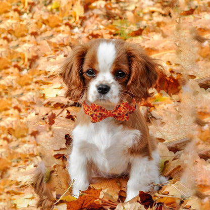 Lionet Paws Dog Collar with Bowtie. Sized and styled for real homes, not just a listing photo.