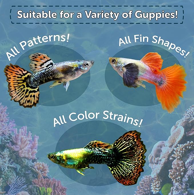 Aquatic Foods Inc. Guppy Premium Flakes, for Guppies, Endler Guppies, Mollies, Platys, Swordtail Fish, All Live Bearer Tropical Fish, 4-Type Wafer Mix & 12-Type Pellet Mix Included...7.0oz Canister