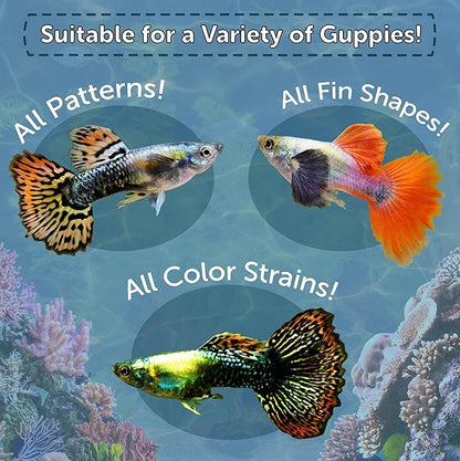 Aquatic Foods Inc. Flakes, Premium Guppy Flakes Also for Tetras, Live Bearers Great for All Community Tropicals. Premium AF Guppy Flakes - 1/2-lb