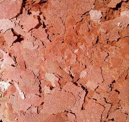 Aquatic Foods Inc. Bloodworm Flakes, High Protein Bloodworm Flakes for Discus, Cichlids, Tetras, Guppies, Live Bearers, All Community Tropical Fish - Premium AF Flakes - 2-lbs