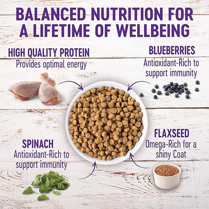 Wellness Complete Health Dry Puppy Food, Chicken, Salmon & Oatmeal, 30-Pound Bag