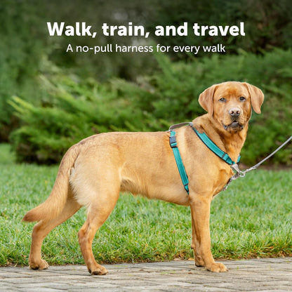 PetSafe 3 in 1 Dog Harness - No Pull Solution for Dogs - Reflective Dog Harness - Front D-Ring Clip Helps Stop Pulling - Comfortable Padded Straps - Top Handle Enhances Control - Plum - Small