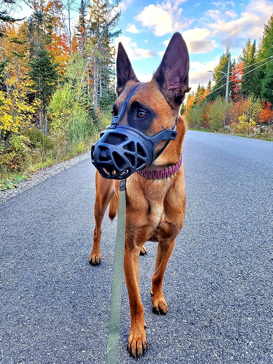 Mayerzon Dog Muzzle, Breathable Basket Muzzles for Small, Medium, Large and X-Large Aggressive Dogs Beagle German Shepherd Doberman, Cage Mouth Guard Stop Biting Chewing for Grooming Training
