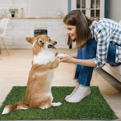 2 Pack Artificial Dog Grass Pee Pad 23"x23", Indoor Puppy Potty Training | Easy to Clean, with Drainage, Reusable, Realistic, Fake Grass Mat, for Apartment, Balcony, Outddor Use