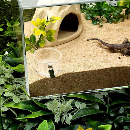 Acrylic Tarantula Enclosure Jumping Spider Enclosure with Front Opening Door 5.3 * 5.3 * 9 Inches Micro Habitat Terrarium for Small Tree Dwelling Reptiles, Spiders & Invertebrates