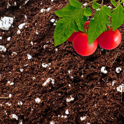 Coco Perlite - Coco Coir Perlite Mix - 70/30 Growing Media - Hydroponic, Indoor & Outdoor, Grow Bags & House Plants (5 quarts)