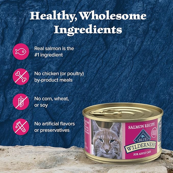 Blue Buffalo Wilderness Natural High-Protein Grain-Free Wet Food for Adult Cats, Salmon Paté, 3-oz. Cans, 24 Count