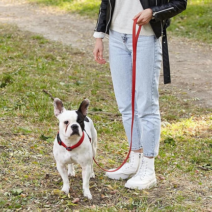 Dogline Biothane Waterproof Dog Leash Strong Coated Nylon Webbing with Black Hardware Odor-Proof Easy to Clean High Performance for Small or Large Dogs Made in USA 4 or 6 ft Lead, Cherry Red