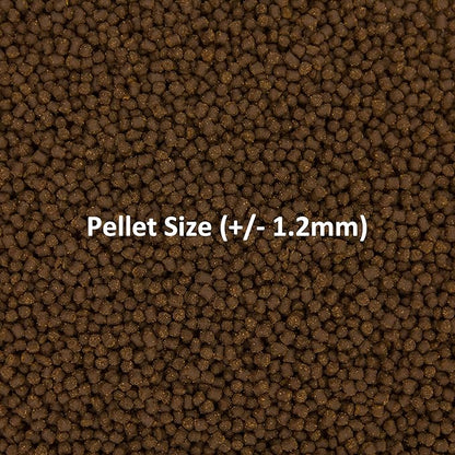 Ocean Nutrition Fish Food - Cichlid Pellets, High Protein (41%) Soft Moist Sinking Pellets for Omnivorous Predatory Cichlids - Enhances Color & Growth, 3.5 oz (100 g), Small Pellet