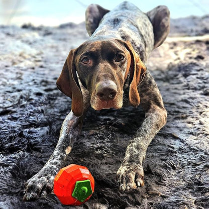 Dingo Toy for Dog, Durable TPR Rubber for chewers, Fetch Toy for Play, Boomerang 9.1", 17395 (Tomato)