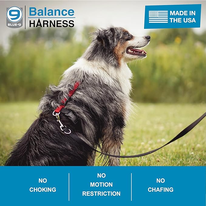 Blue-9 Buckle-Neck Balance Harness, Fully Customizable Fit No-Pull Harness, Ideal for Dog Training and Obedience, Made in The USA, Sky Blue, X-Small