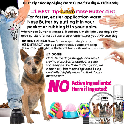 The Blissful Dog Australian Cattle Dog Unscented Nose Butter - Dog Nose Butter, 4 Ounce