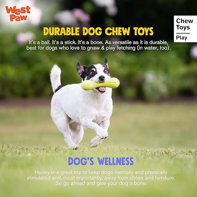 WEST PAW Zogoflex Hurley Dog Bone Chew Toy – Floatable Pet Toys for Aggressive Chewers, Catch, Fetch – Bright-Colored Bones for Dogs – Recyclable, Dishwasher-Safe, Non-Toxic, X-Small, Tangerine