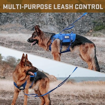 Forestpaw Tactical Dog Harness Tactical Dog Collar with Bungee Leash Set,No Pull Military Dog Harness for Walking Training,Adjustable for Medium Dogs,Blue,Chest 17-25"