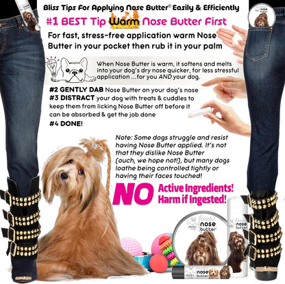 The Blissful Dog Havanese Unscented Nose Butter - Dog Nose Butter, 2 Ounce