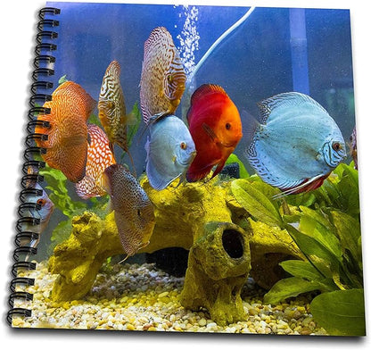 Memory Book 12 x 12 inch - Freshwater tropical discus. Fish