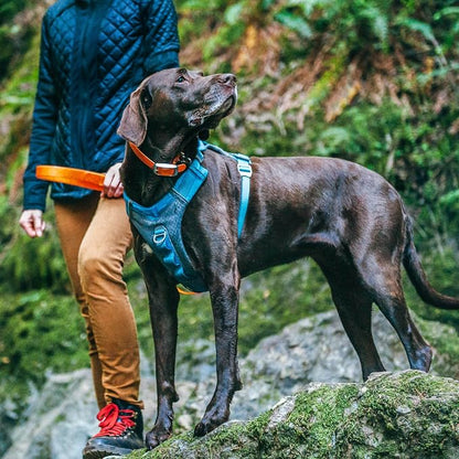 Kurgo Journey Air Dog Harness, Black, Extra Large | Padded Chest, Ripstop Outer & Breathable Mesh, Back Assist Handle, Rust-Free Aluminum Hardware, Reflective Trim